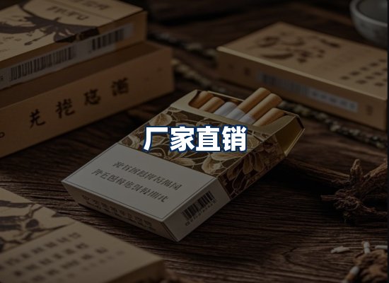 专业团队办公环境